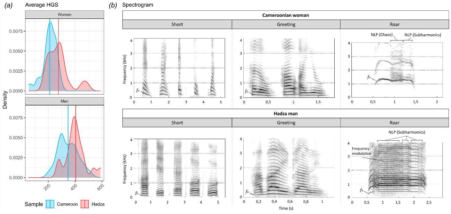 Predicting strength from aggressive vocalisations versus speech in African bushland and urban communities